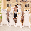 Hug Me Corgi and Husky Plushie