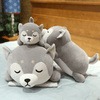 Milo & Max  - The Shiba Inu Brothers