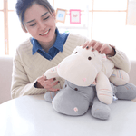 Hillary The Lazy Hippo Plushie
